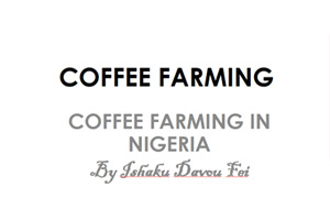 Day1-IshakuDavouFei,CoffeeFarming-Coffee-Farming-in-Nigeria